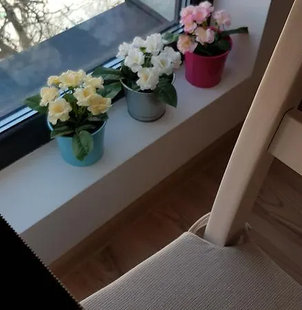 Confort 3 Lejlighed *