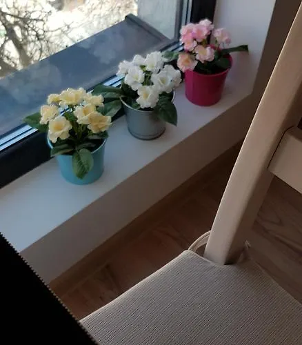 Confort 3 Apartment *