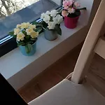 Confort 3 Apartment *